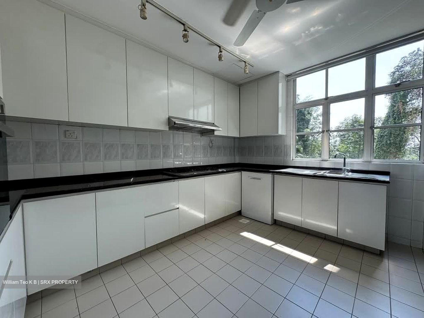 La Suisse (D11), Condominium #577853861